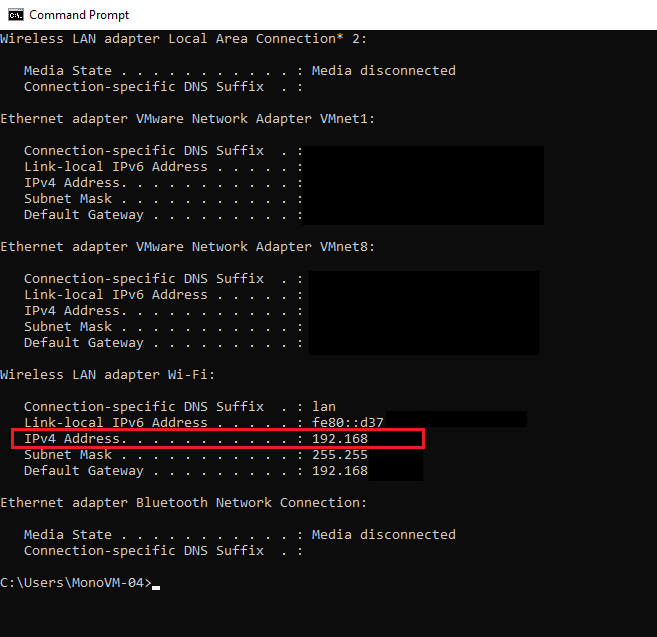 cmd with the IP details